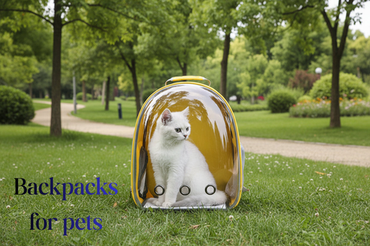 Backpacks for pets