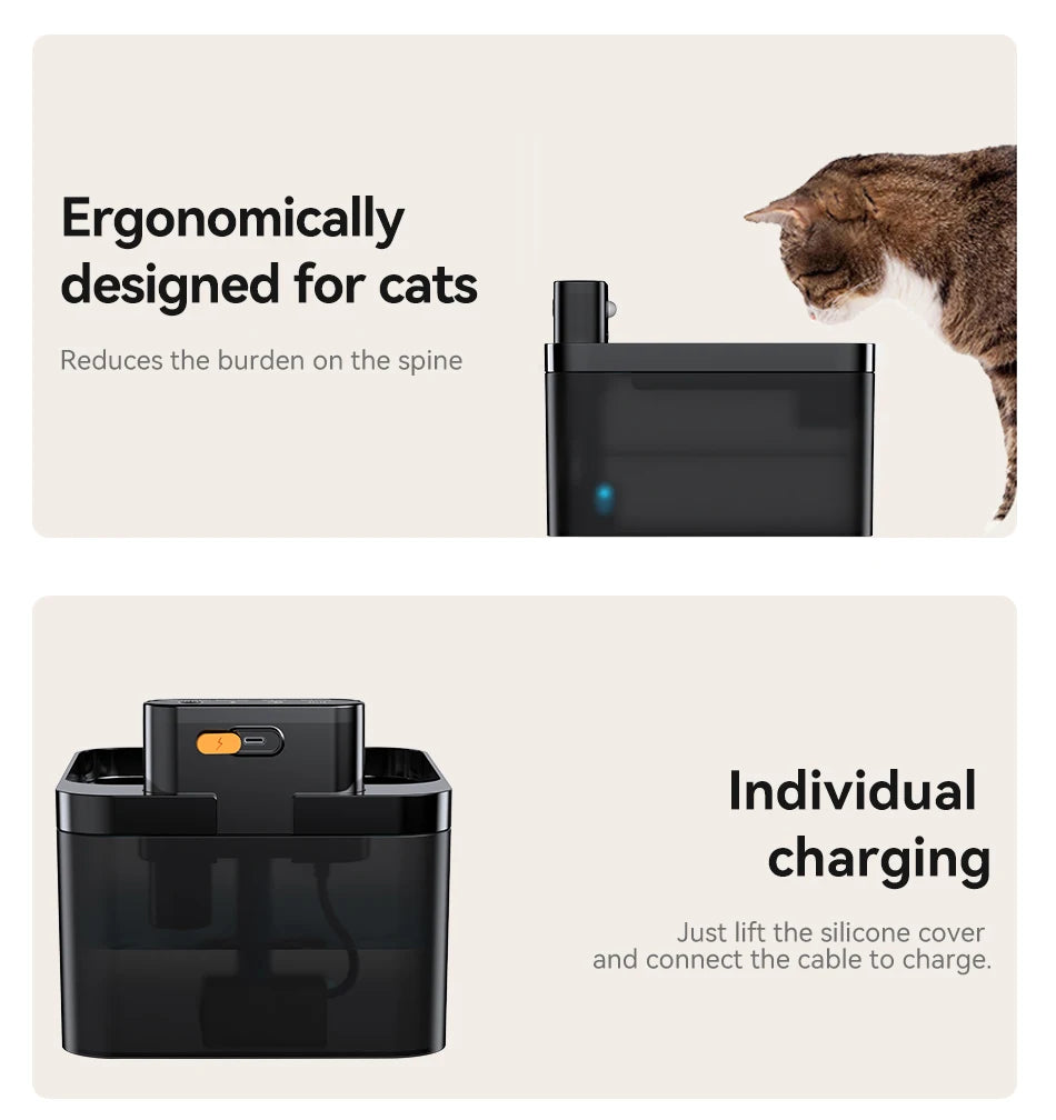 Automatic water fountain