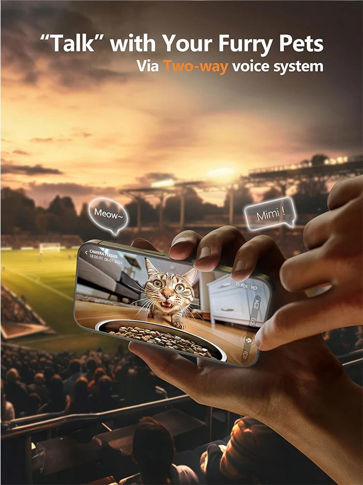 Intelligent automatic feeder