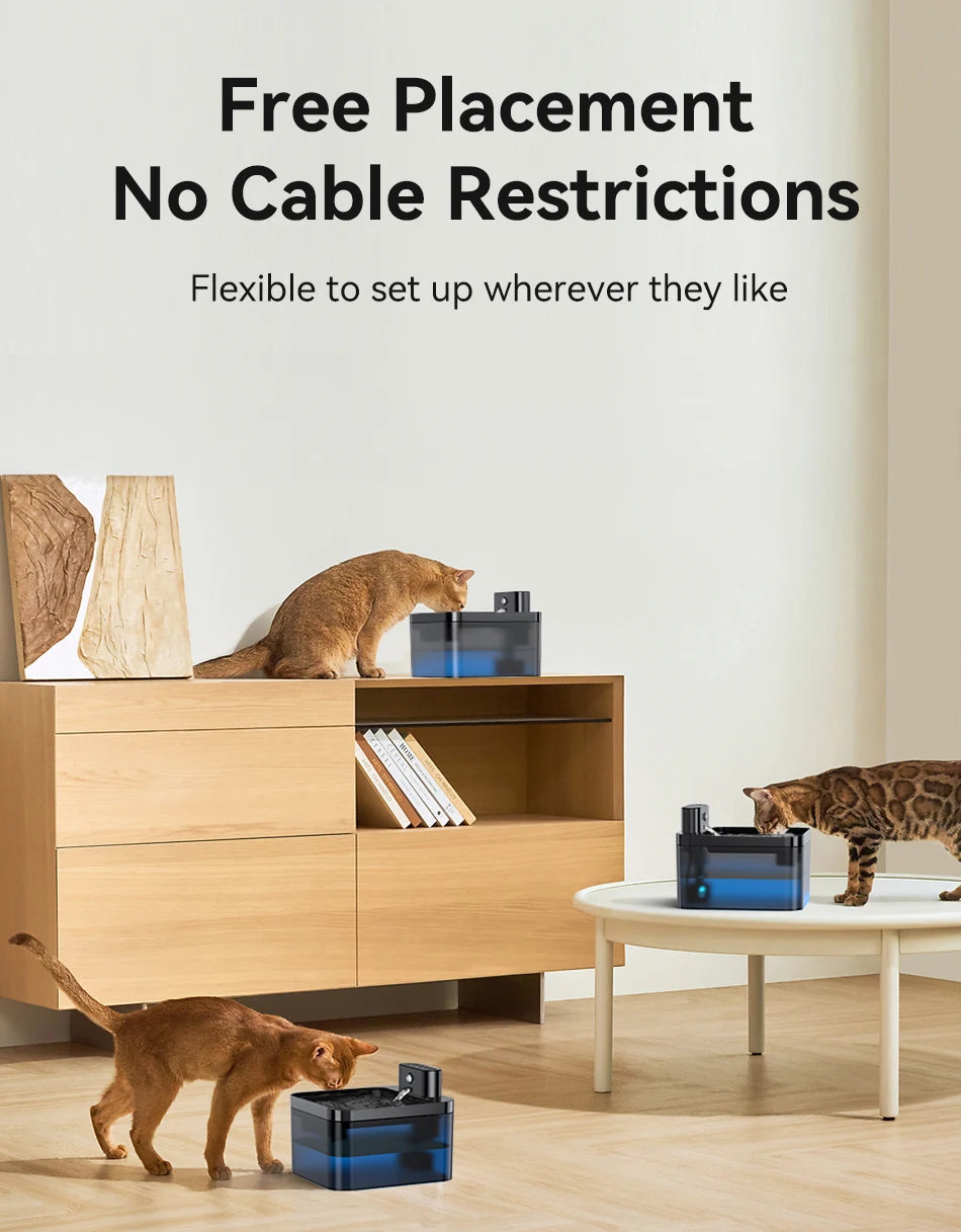 Automatic water fountain