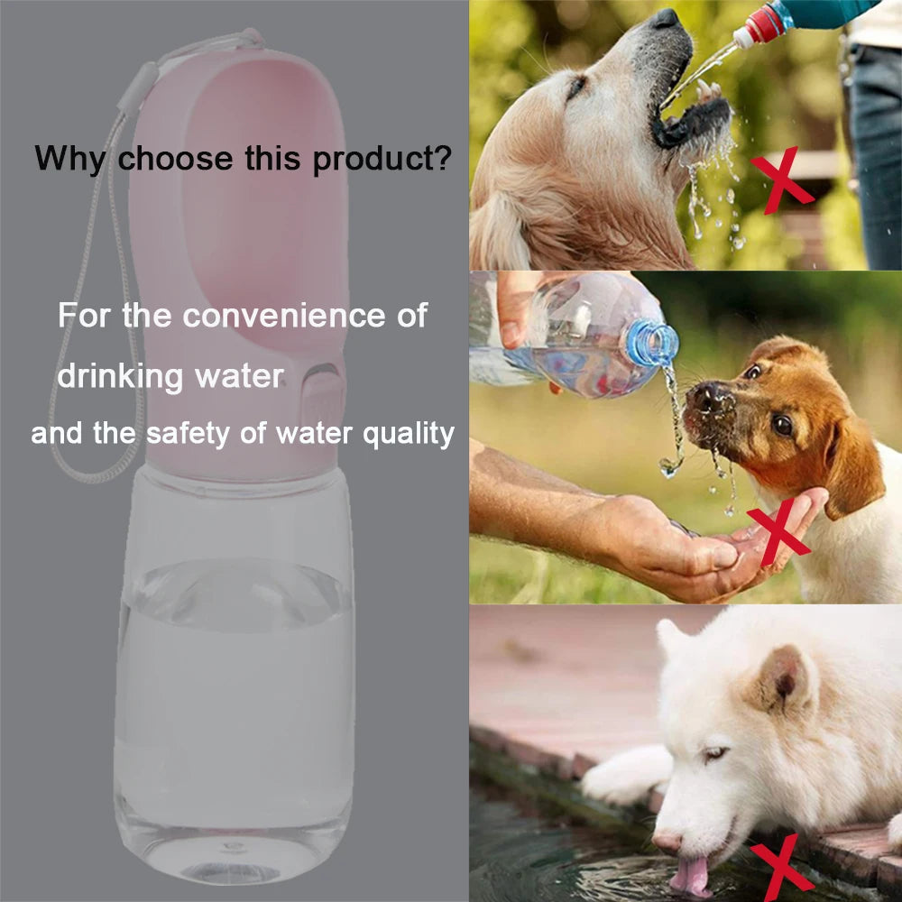 Portable water bottle for dogs