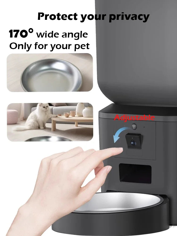 Intelligent automatic feeder
