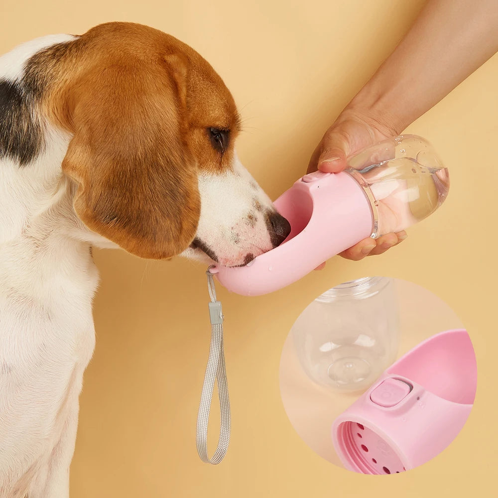 Portable water bottle for dogs