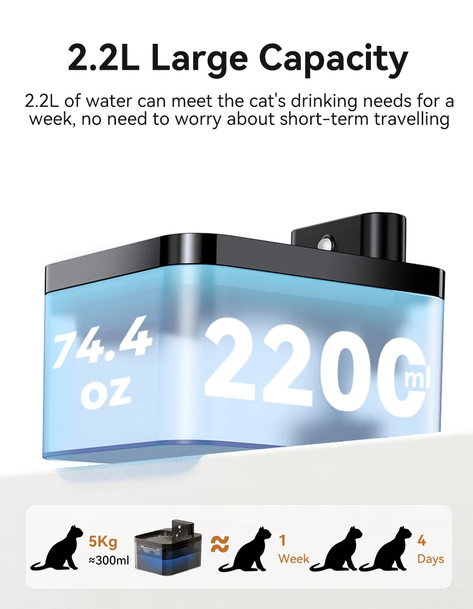 Automatic water fountain