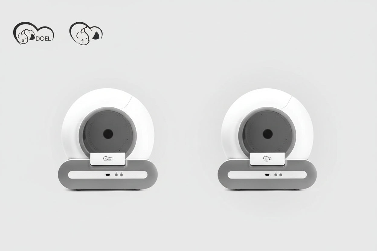 Automatic litter box