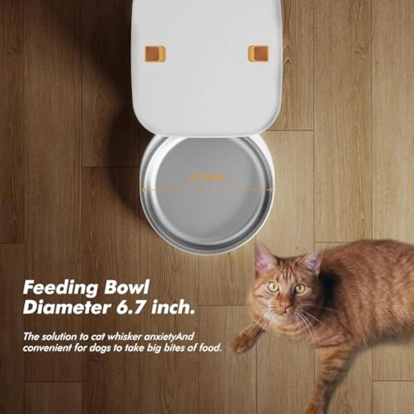 Intelligent automatic feeder