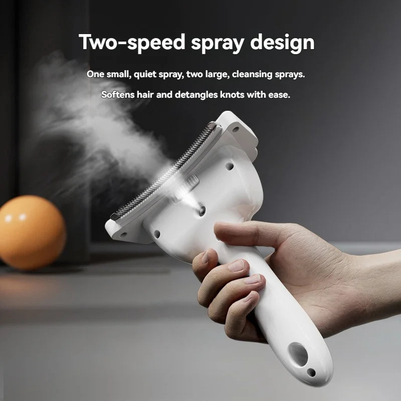 2-in-1 steam brush