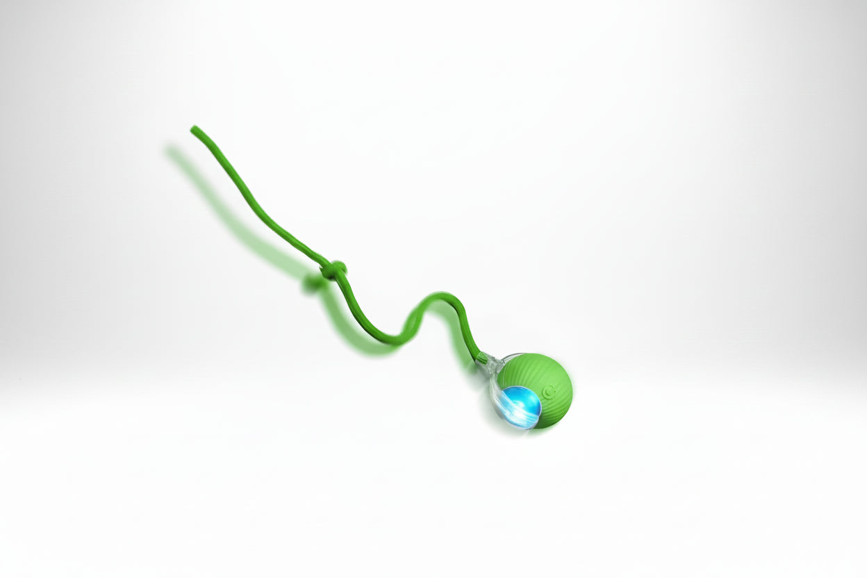 Interactive ball for pets